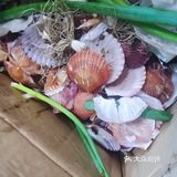有个会做饭的男票就是幸福