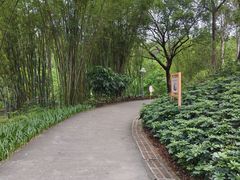 -深圳龙潭公园