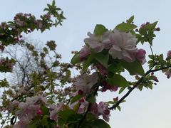 -北门涮肉·炭火铜锅涮肉(什刹海店)