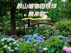 -上海辰山植物园