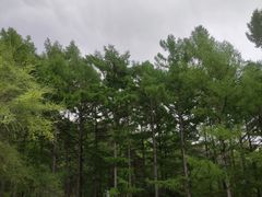 -长春市南湖公园