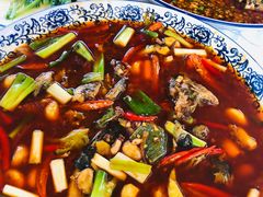 -高坎一品甲鱼庄(两河店)