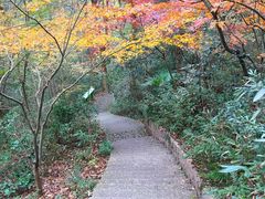 -西湖风景区-江洋畈生态公园