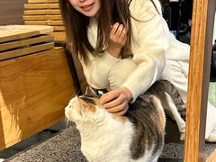 -黑胶星球(华发中城商都店)