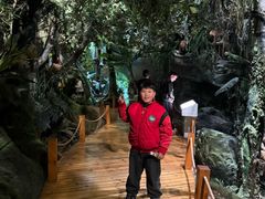 -自贡恐龙博物馆