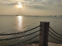 -芒洲湿地公园