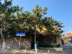 -八大关景区