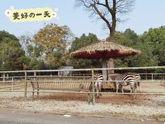 -常州淹城野生动物世界