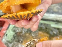 -坛南湾阿强农家乐.海鲜大排档老字号(福州地标美食店)