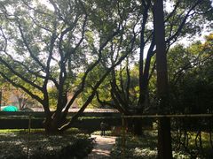 -徐家汇源景区-衡山公园