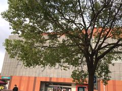 -卜蜂莲花(杨高北路店)
