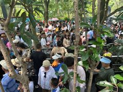 -韶山毛泽东同志故居