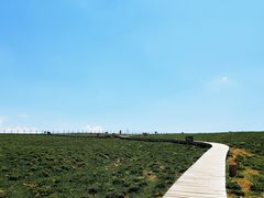 -芦芽山旅游度假区