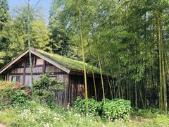 -重庆雨台山风景区