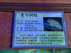 -上海大自然野生昆虫馆(东方明珠·爬宠昆虫探索中心)