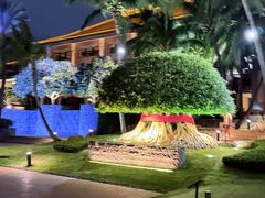 -海南清水湾莱佛士酒店