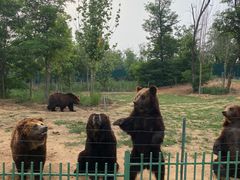 -秦皇岛野生动物园