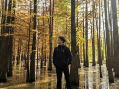 -青龙山国家森林公园