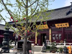 -贡湖湾湿地公园