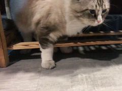 -白兔子密室(长寿路店)