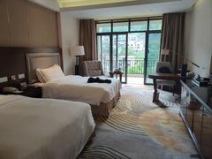 -宜春明月山维景国际温泉度假酒店