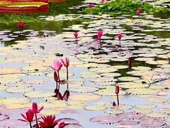 -国家植物园南园