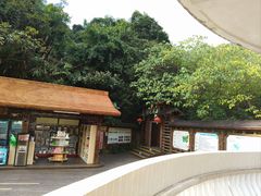 景点-鼎湖山风景区