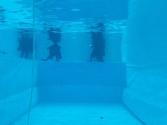 -上海潜殿潜水中心