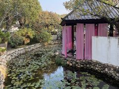 -观唐（国际）度假村温泉