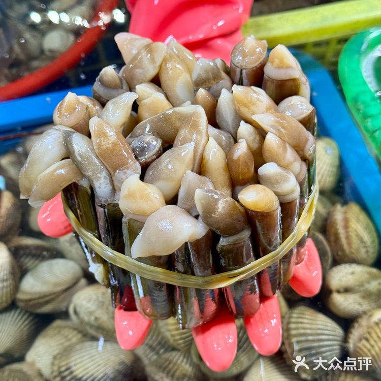 小青龙，大螃蟹，生蚝，鲍鱼，海螺！这一堆才花了三百多