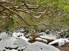 -浙西天池-售票处