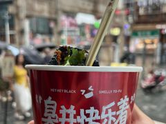 -黑色经典臭豆腐·湖南特产(坡子街店)