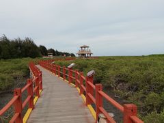 -北海金海湾红树林生态旅游区