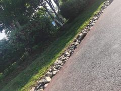 -滨湖塘西河公园