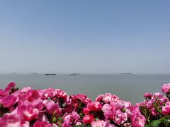 -上海滨江森林公园