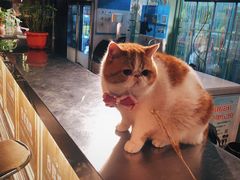 -仓库烤肉(绿园店)