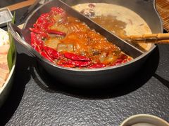 -大龙燚·旷野鲜火锅(广州首店)