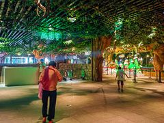 -杭州开元森泊度假乐园