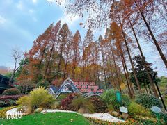 -徐家汇源景区-衡山公园