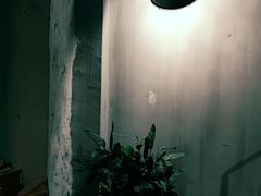 -Apollo·西班牙小酒馆(安福路店)