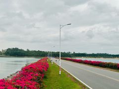 -露天矿生态公园