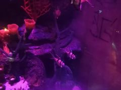 -沈阳海洋探索中心