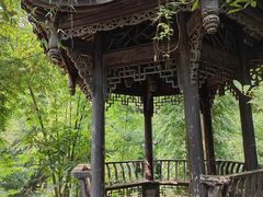 -凤栖山