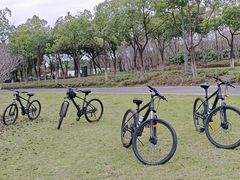 -阳澄湖半岛旅游度假区
