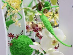 -深圳国际园林花卉博览园