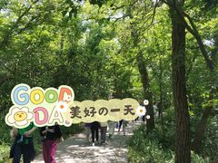 -紫金山山顶公园