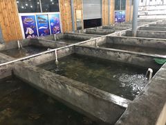 -阔澜蒸汽海鲜自助