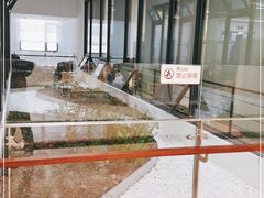 -上海市徐汇区口腔医院