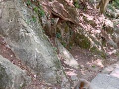 -黔灵山公园