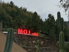 -MOJ coffee(瓯海泽雅水碓坑店)